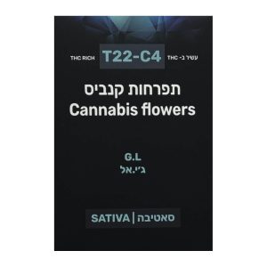 ג'י אל - G.L