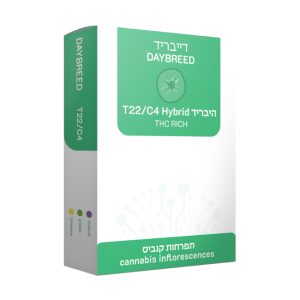דייבריד - Daybreed