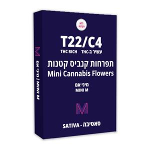 מיני אם - Mini M