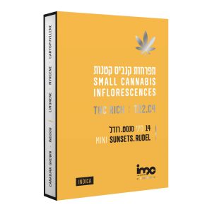 סנסט.רודל מיני - Sunsets.Rudel Mini